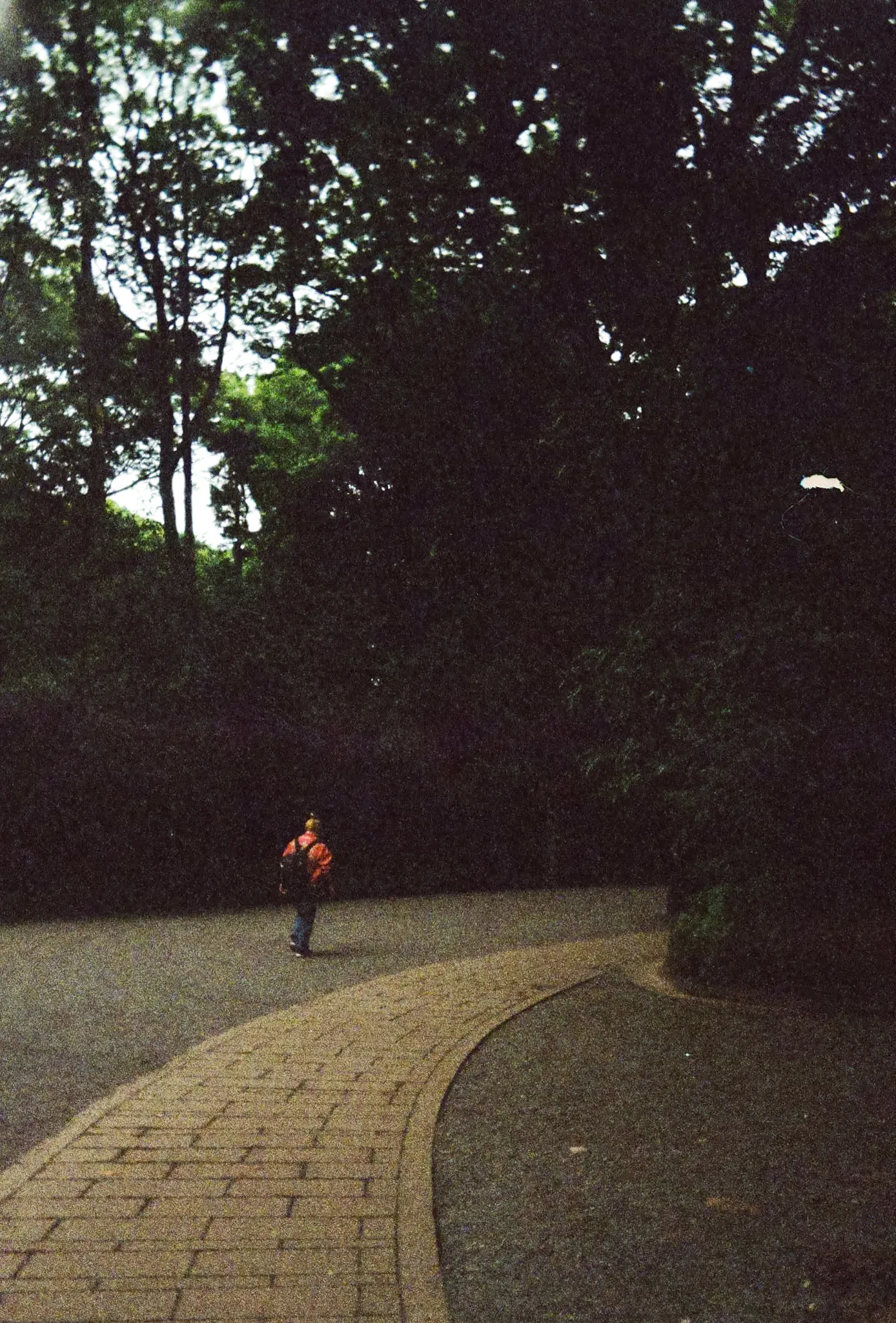 Japan on Film 2025 — photo 15